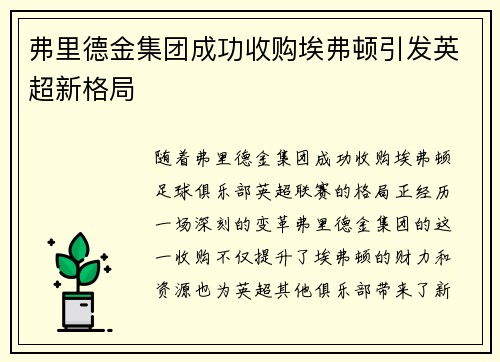 弗里德金集团成功收购埃弗顿引发英超新格局